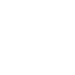 Logo Māori Healing
